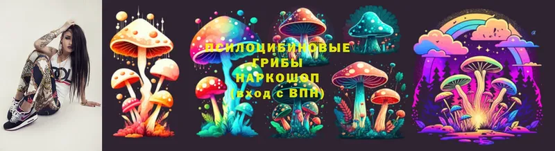 Галлюциногенные грибы Psilocybine cubensis  ОМГ ОМГ зеркало  Киселёвск 